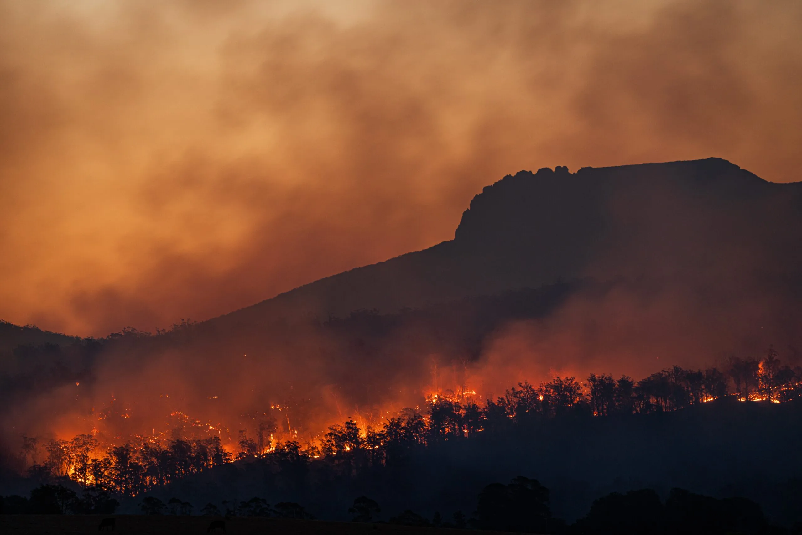 Upcoming 20 Local Climate Change Occasions and Conferences within the World