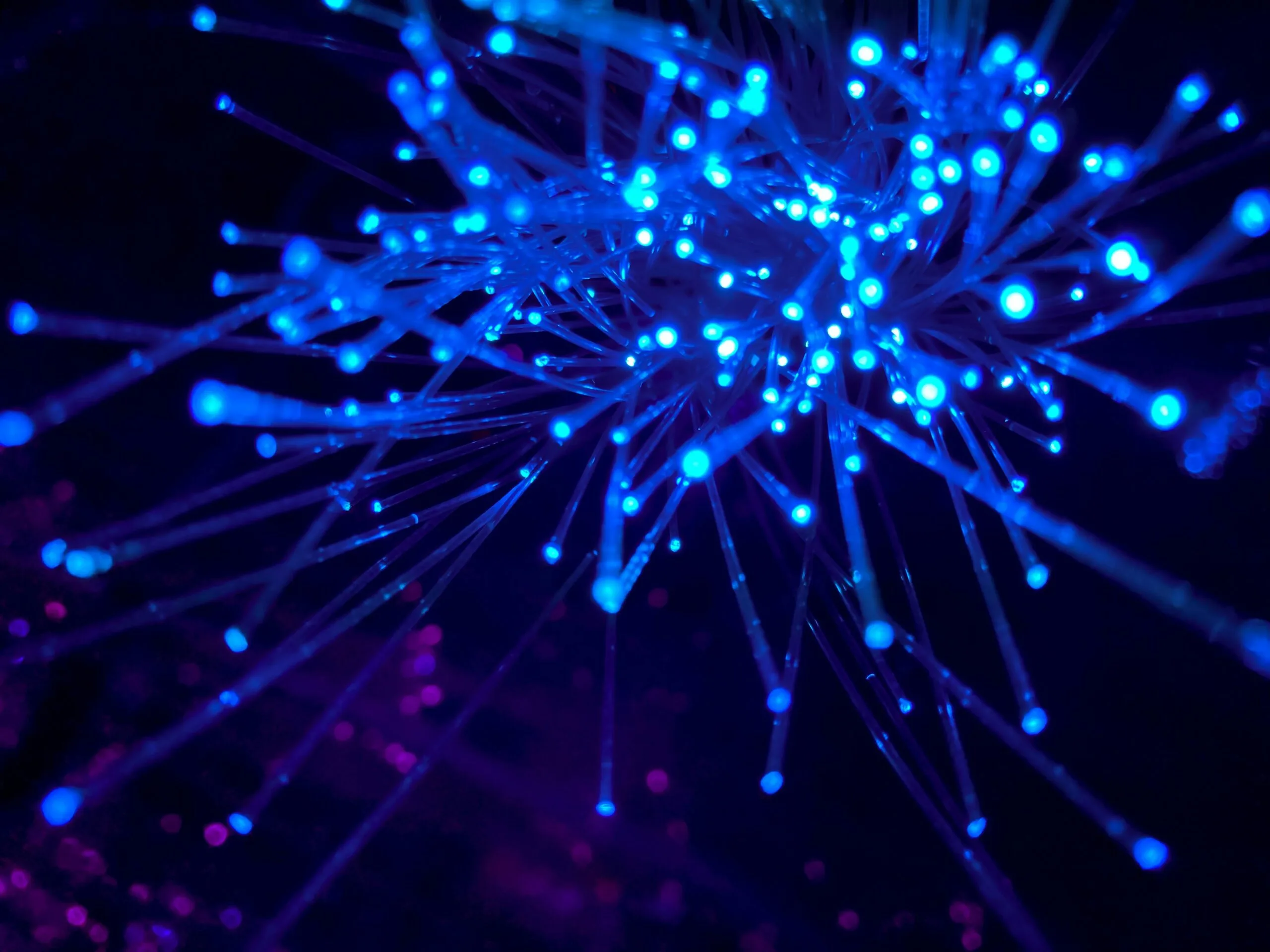 The Power of the Internet in Modern Business
